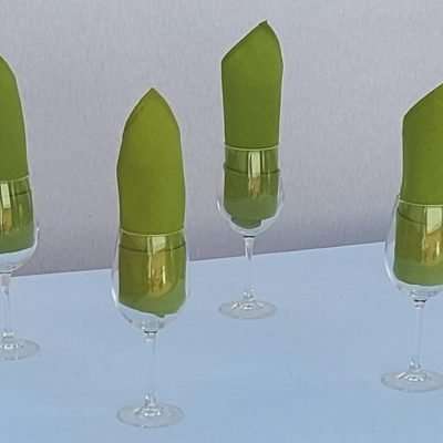 Servilletas verdes